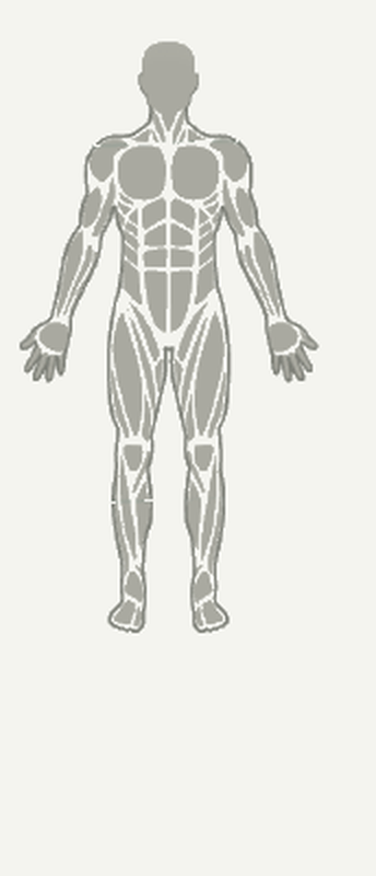 The Digital Twin screen in the One L1fe app, showing a plain unmarked figure